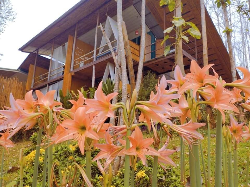 Nan De Panna Resort And Spa Exterior photo